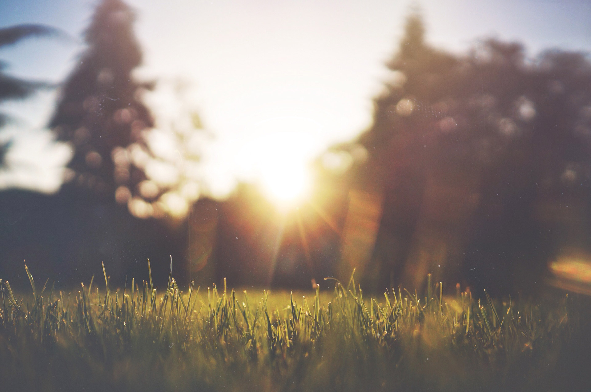 Deep Green Lawn Care & Landscaping - Alabaster, Pelham, Chelsea, Hoover, Vestavia
