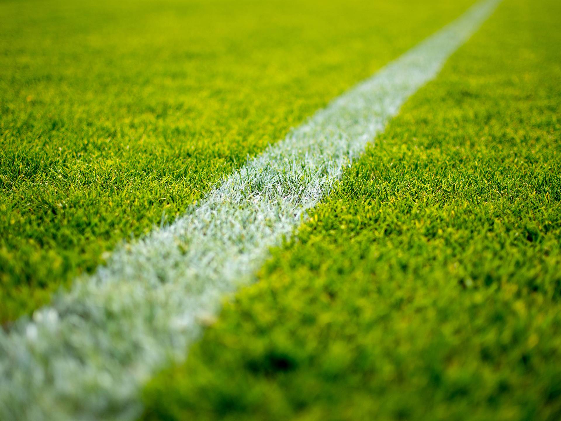 Get Your Lawn and Landscape Ready for Football Parties - Birmingham - Deep Green Lawn Care