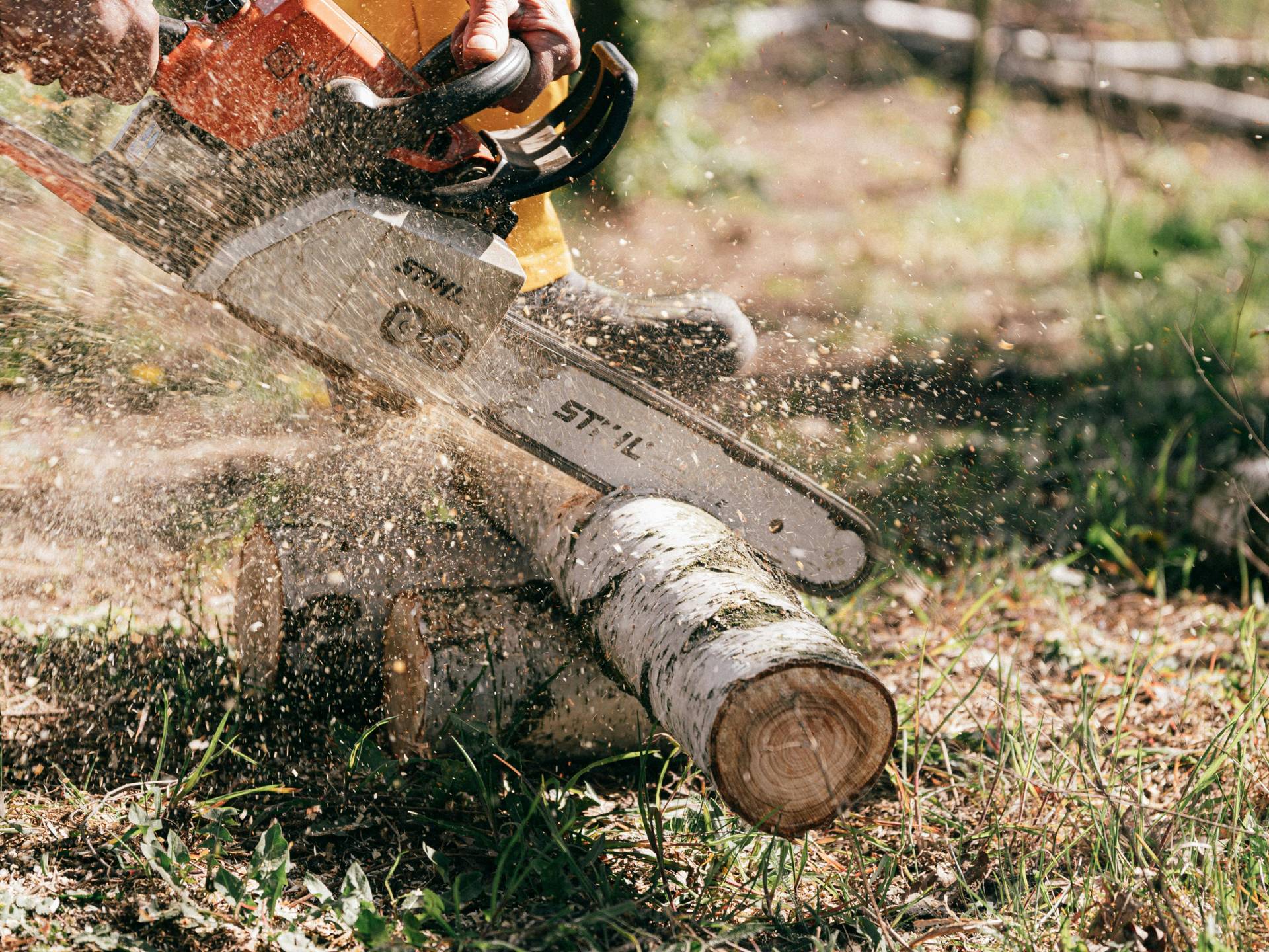 Tree Cutting Service in Birmingham AL - Tree Trimming & Stump Grinding Removal